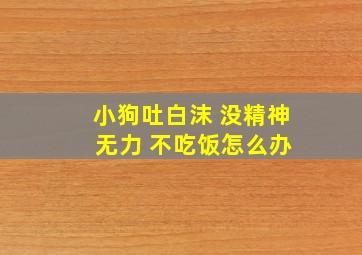 小狗吐白沫 没精神 无力 不吃饭怎么办